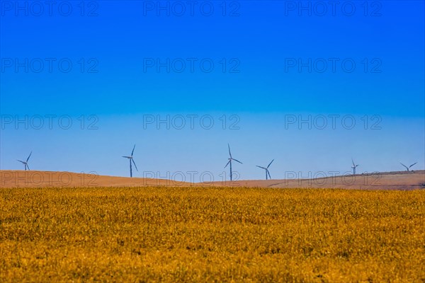 Wind turbines in rural landscape