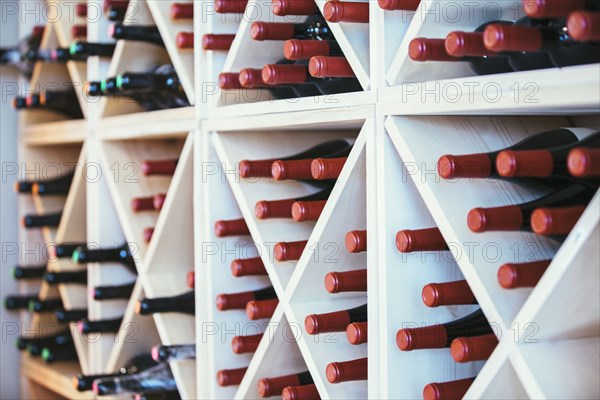 Wine bottles in rack on wall