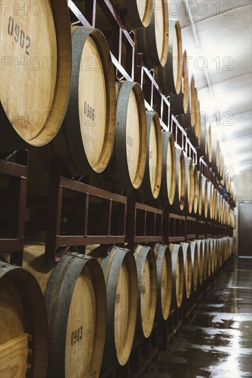 Wine barrels aging