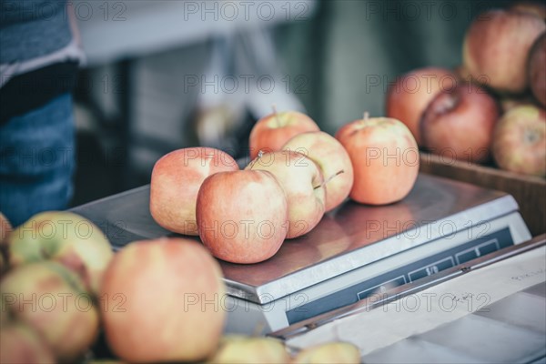 Apples sitting on scale