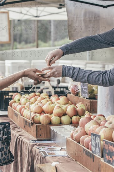 Woman purchasing produce at market