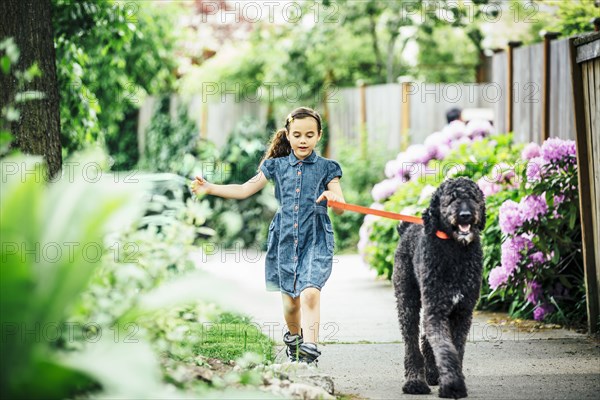 Mixed race girl walking dog on suburban sidewalk