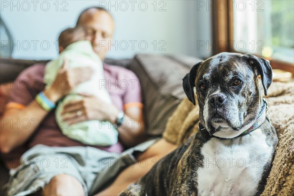 Caucasian father sitting with baby boy and dog on sofa