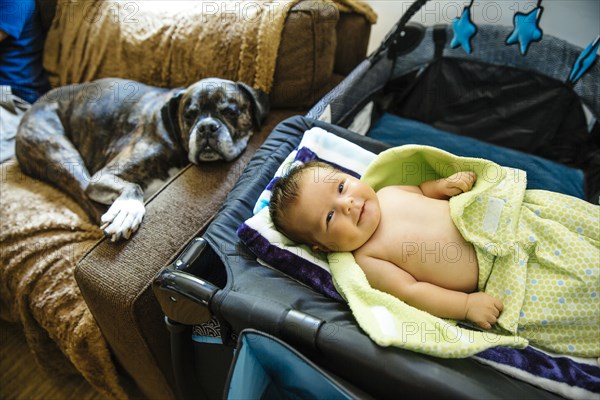 Caucasian baby boy smiling on crib near sleeping dog