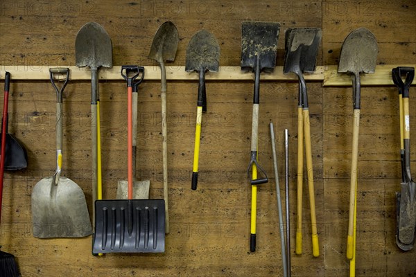 Shovels and tools hanging from hooks in shed