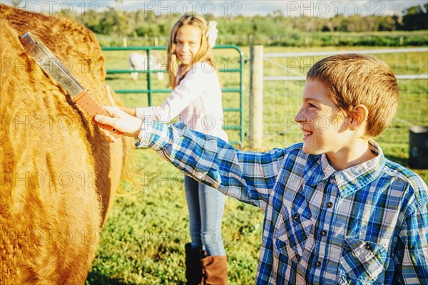 Caucasian children brushing hair of horse on ranch