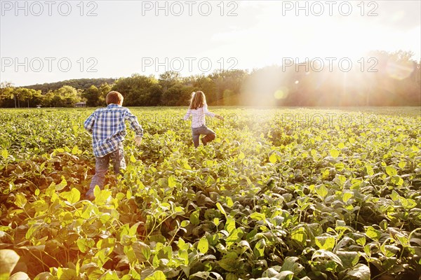 Caucasian children walking in crop field on farm