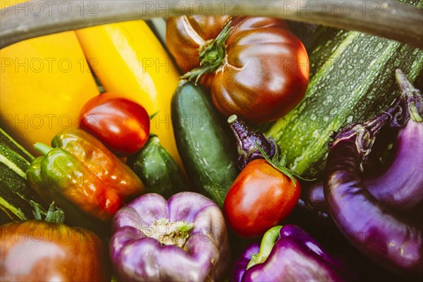 Close up of fresh produce