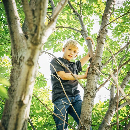 Low angle view of Caucasian boy climbing tree