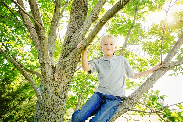 Low angle view of Caucasian boy climbing tree