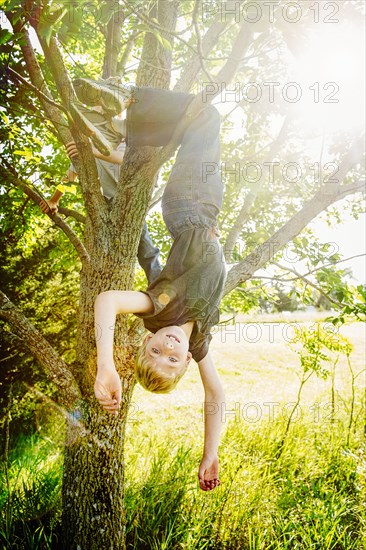 Caucasian boy hanging from tree