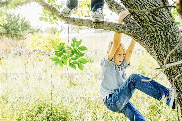 Caucasian boys climbing tree