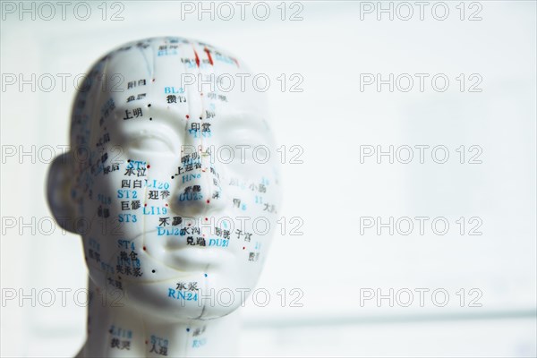 Close up of carved bust with acupuncture diagram