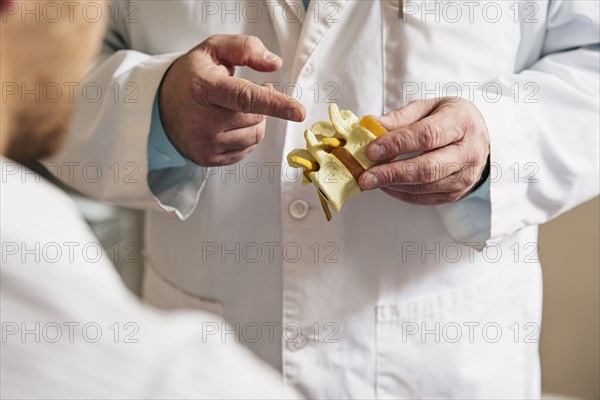 Caucasian doctor showing patient bone model