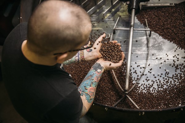 Caucasian coffee roaster testing beans in machinery