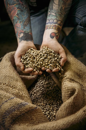 Caucasian man holding raw coffee beans