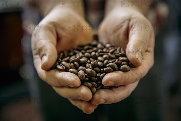 Close up of Caucasian man holding coffee beans
