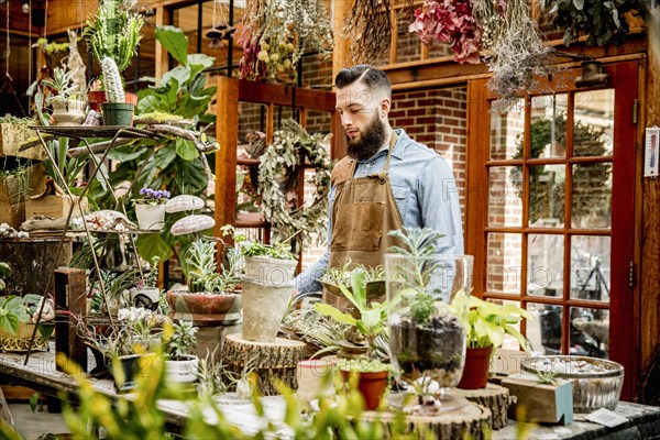 Caucasian employee with plants in nursery