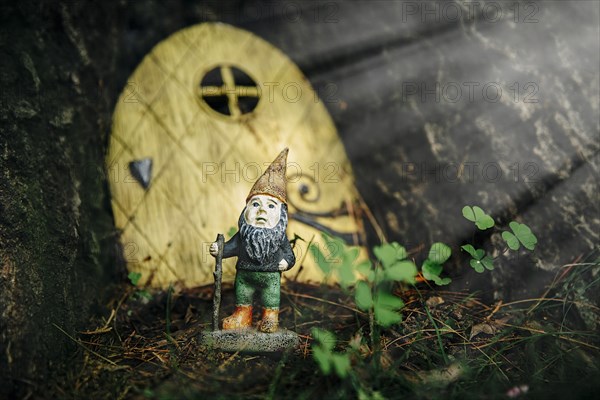 Close up of gnome figurine in garden