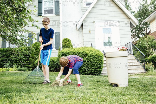 Caucasian brothers raking leaves in front lawn