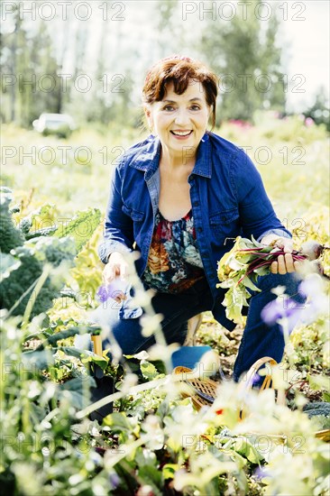 Caucasian woman picking vegetables in garden