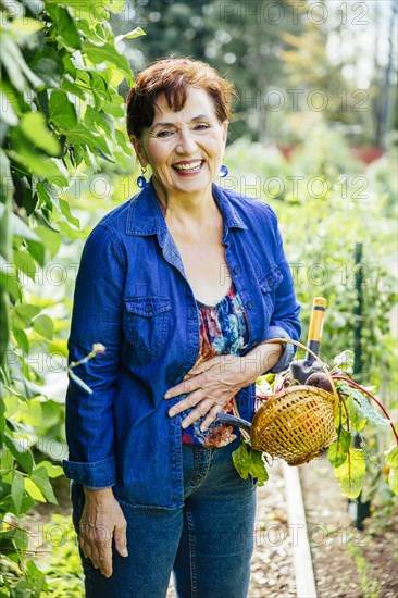 Caucasian woman picking vegetables in garden