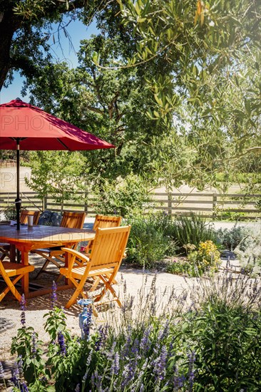 Table and chairs in garden