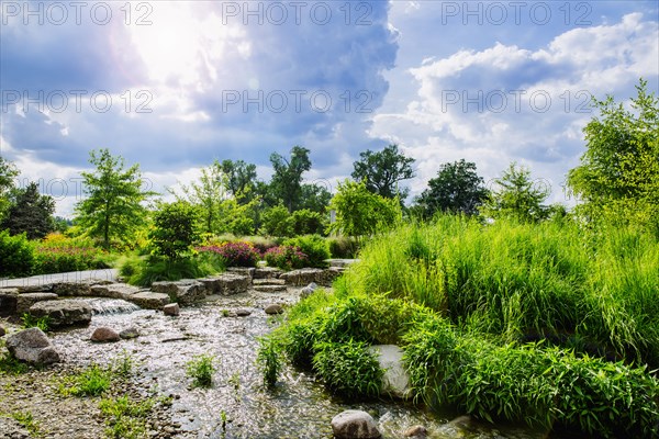 Cloudy sky over swamp grass