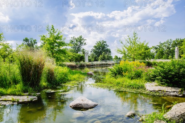 Cloudy sky over swamp grass