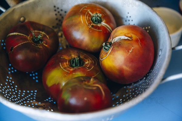 Close up of fresh tomatoes in colander