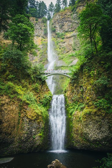 Multnomah Falls and bridge