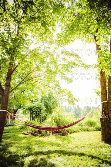 Hammock between trees in backyard