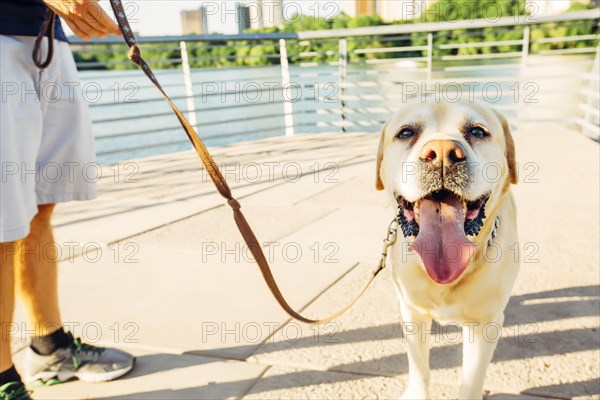 Caucasian man walking dog outdoors