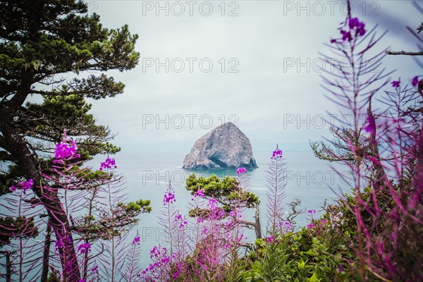 Lush hillside over sea stack in ocean