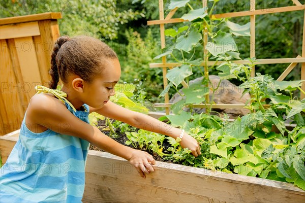 Mixed race girl examining plants in garden