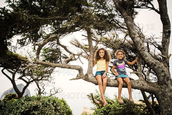 Mixed race sisters sitting in tree