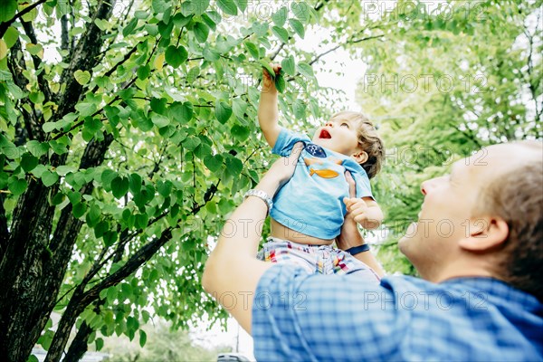 Father lifting baby son to tree
