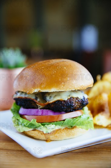 Close up of cheeseburger on plate