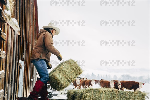 Caucasian farmer hauling hay near snowy barn