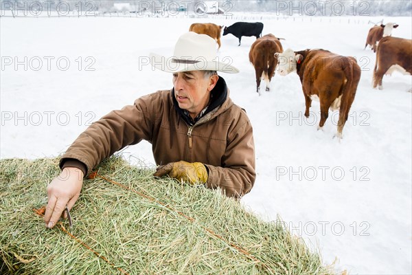 Caucasian farmer hauling hay in snowy field