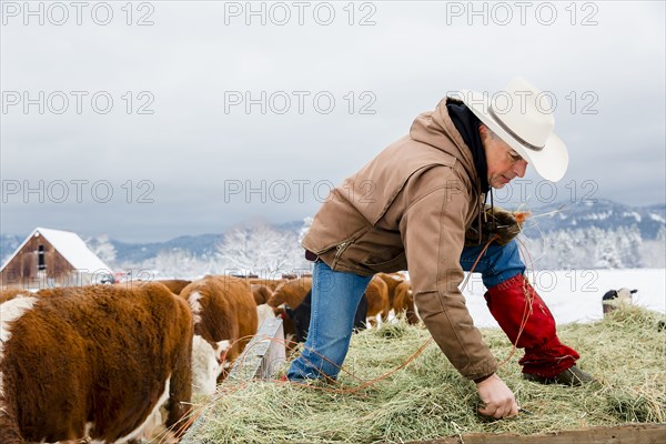 Caucasian farmer hauling hay in snowy field