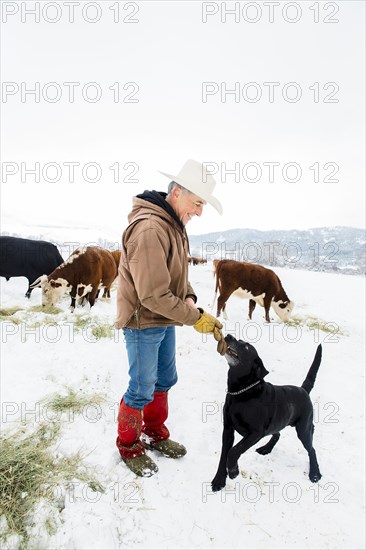 Dog tugging glove of Caucasian farmer in snow