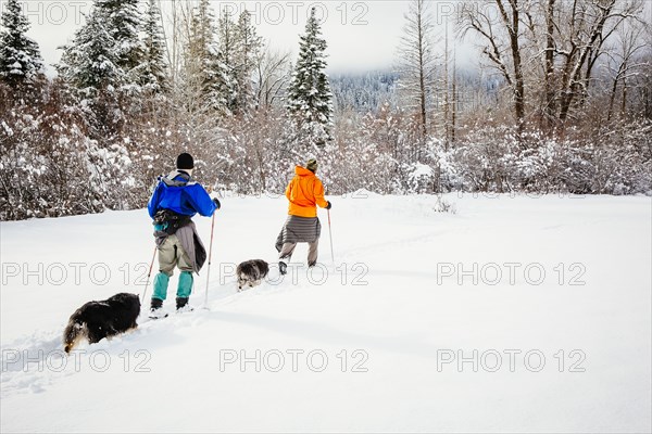 Caucasian couple and dogs cross-country skiing in snowy field