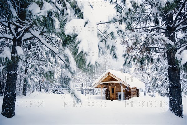 Cabin in snowy rural forest
