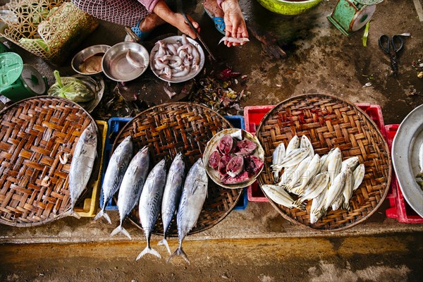 High angle view of vendor cleaning fish