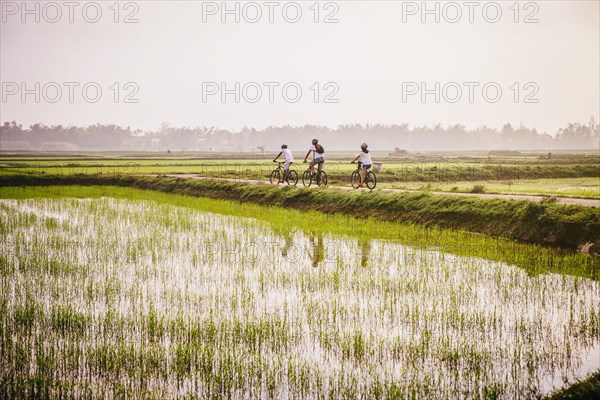 Tourists riding bicycles in rural landscape