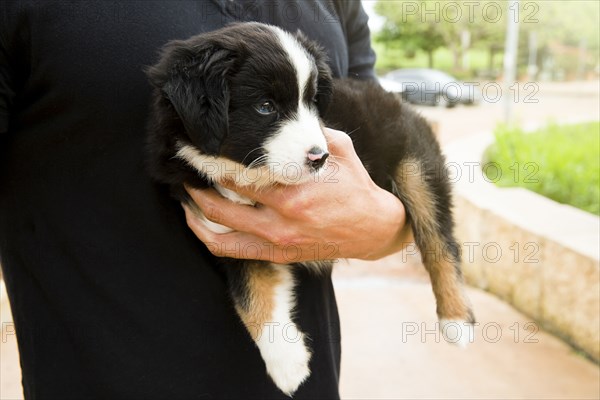 Caucasian man holding puppy