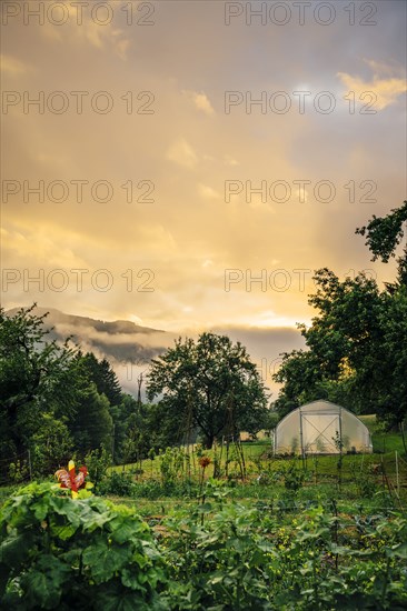 Sunset over greenhouse and garden