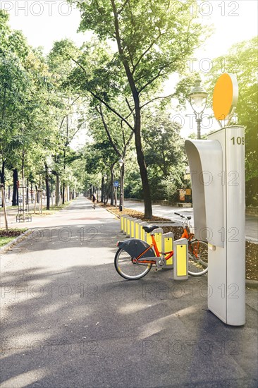 Bicycle rental station in park