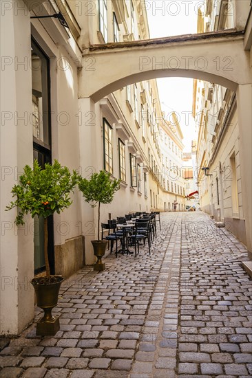 Empty cobblestone street